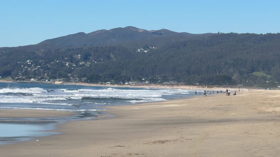 Half Moon Bay State Beach