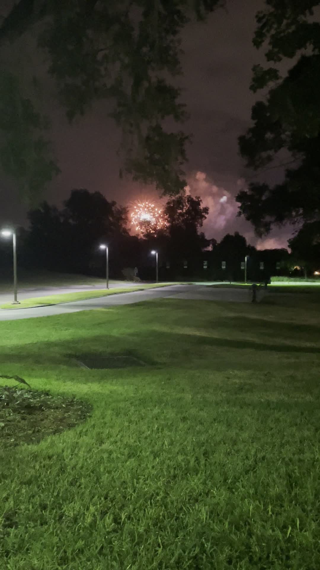 Video review of Evergreens