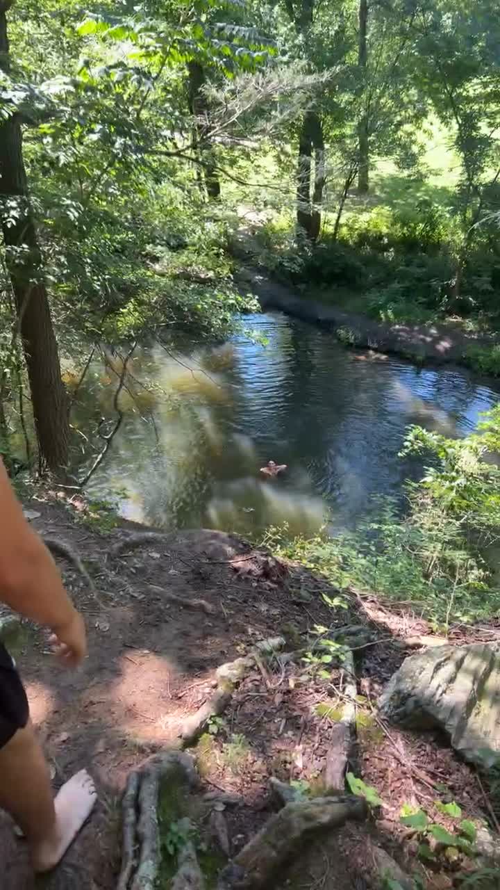 Video review of King of Prussia Mall