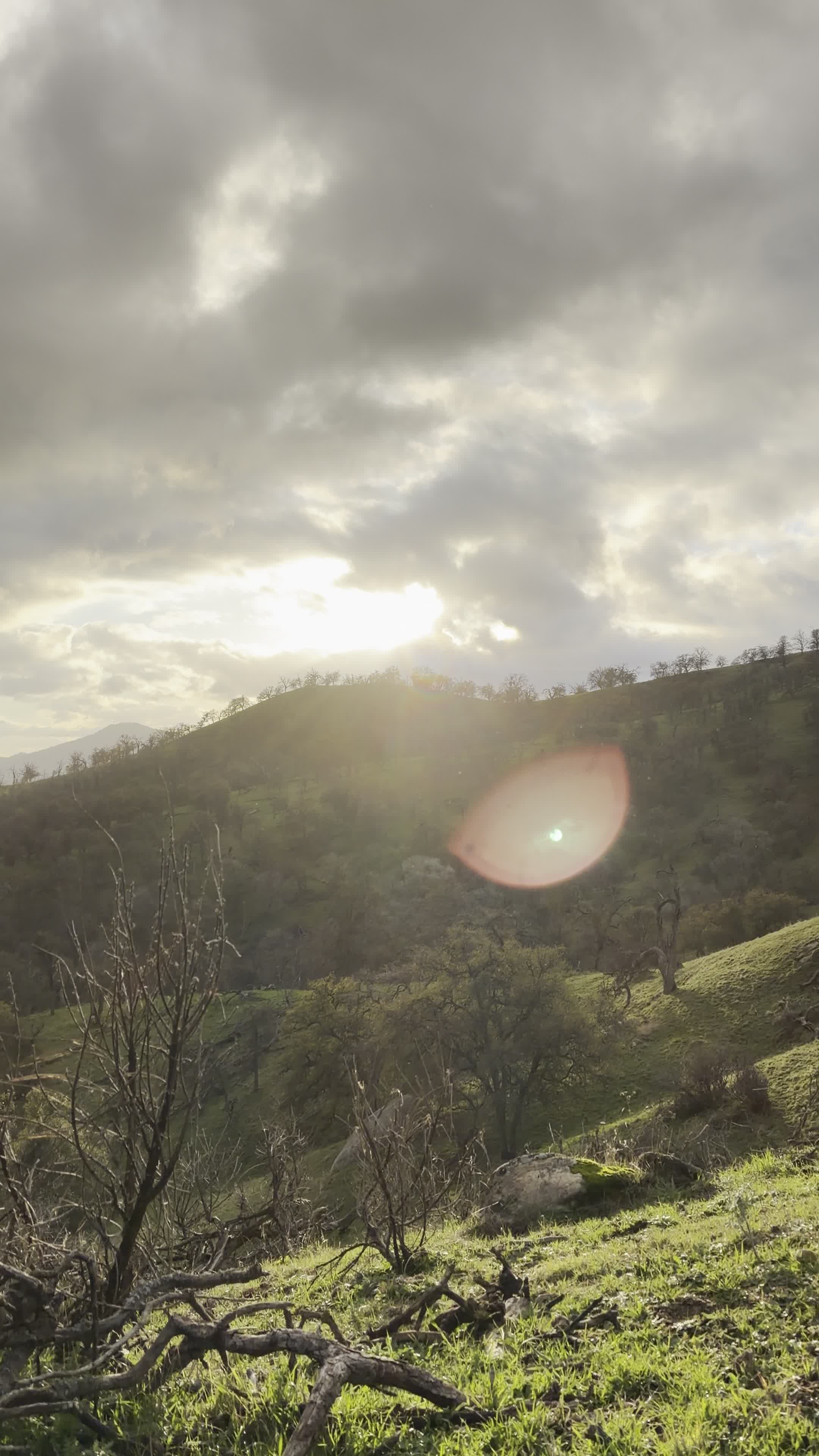 City Moment · Tulare