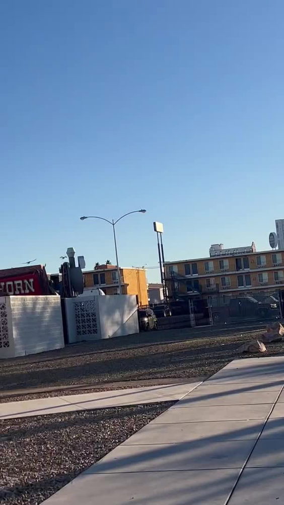 The Neon Museum
