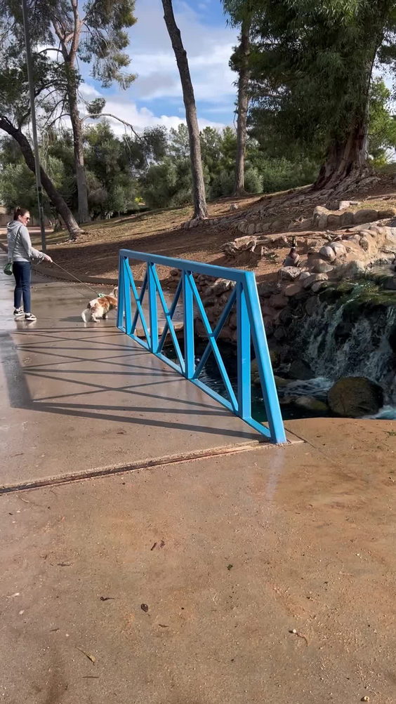 Gene C Reid Park