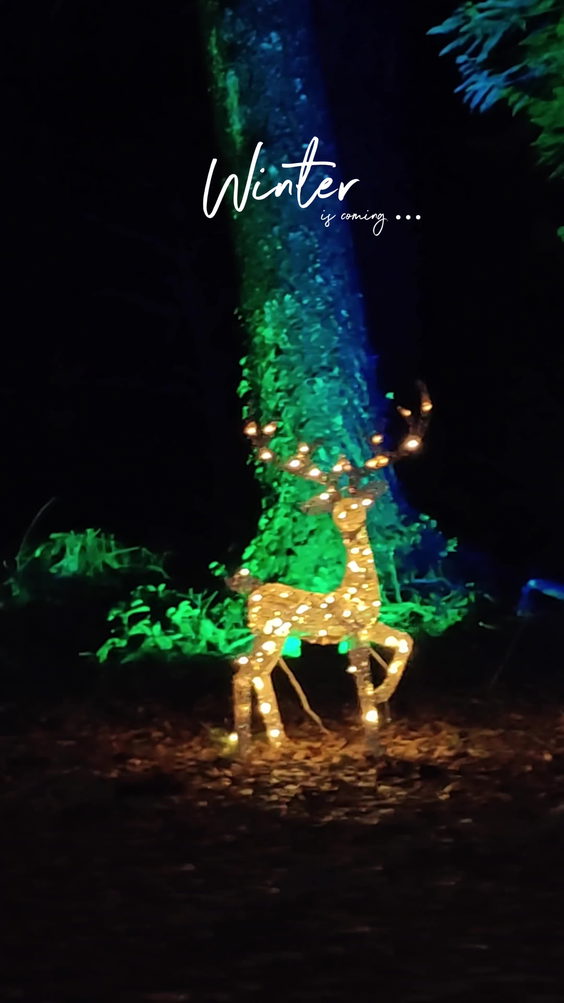 Williams Park