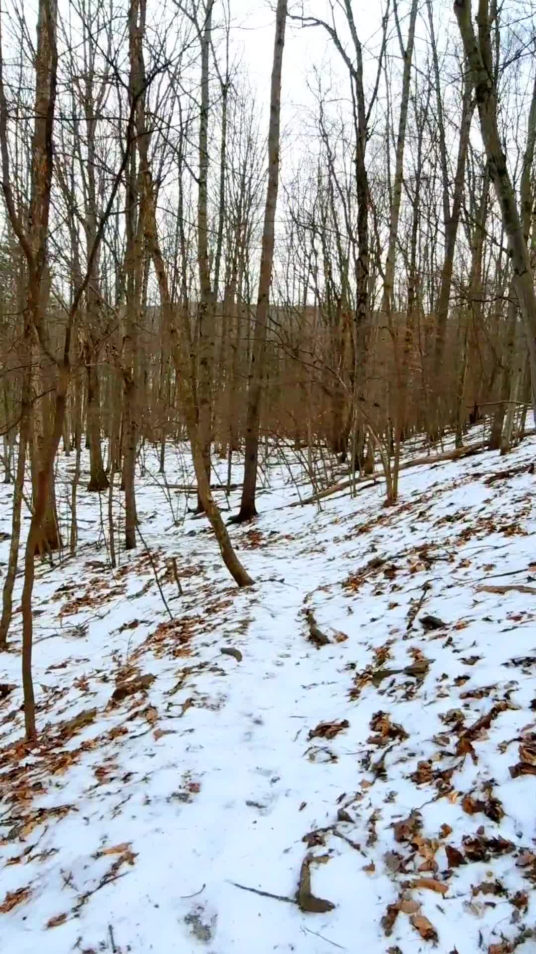 Nature Preserve