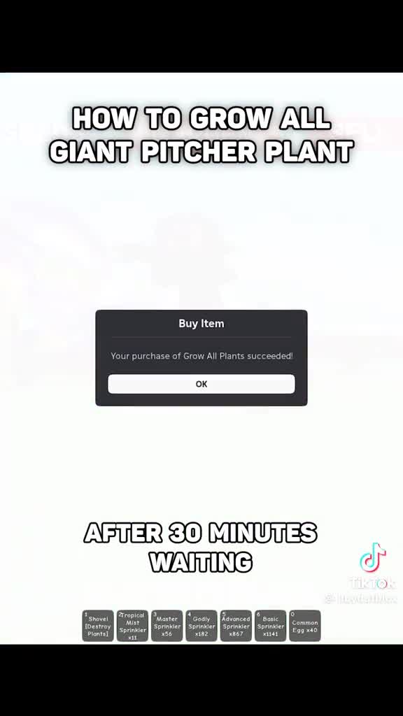 Video review of Ron Jon Surf Shop