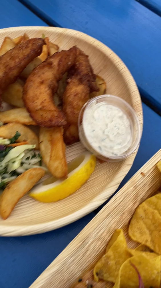Flying Fish Co.