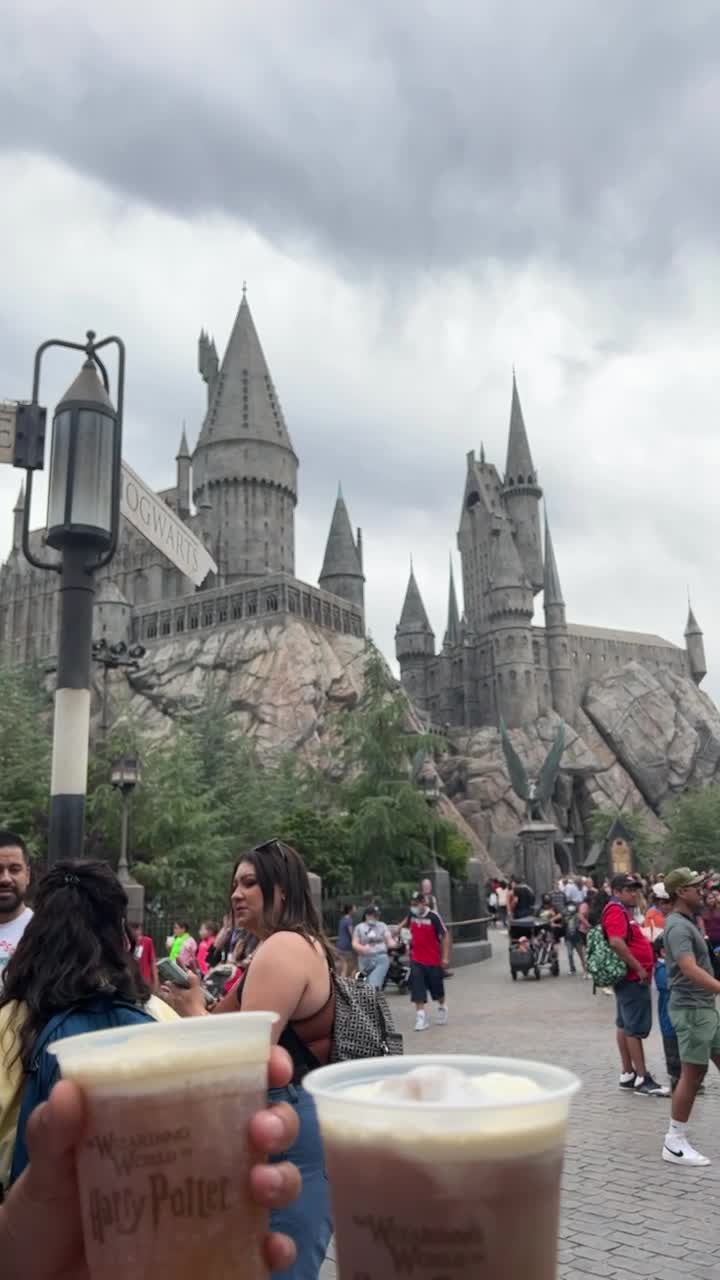 The Wizarding World of Harry Potter
