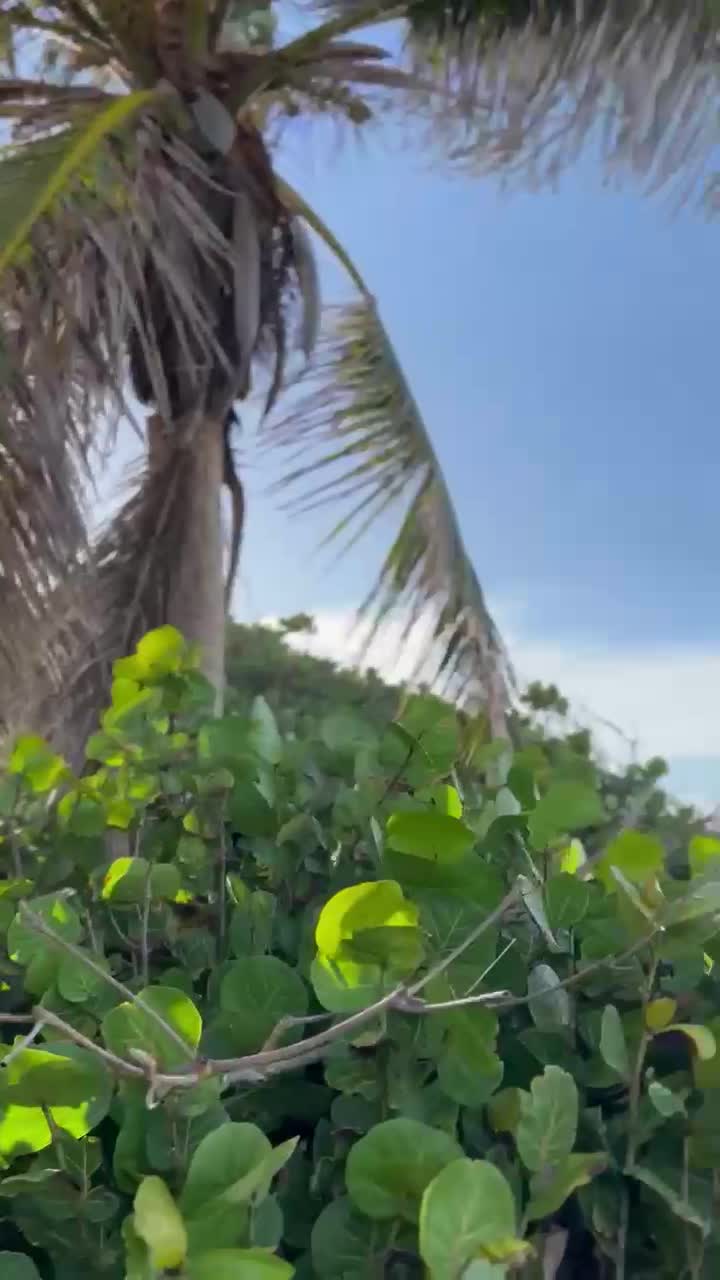 Beach San Juan