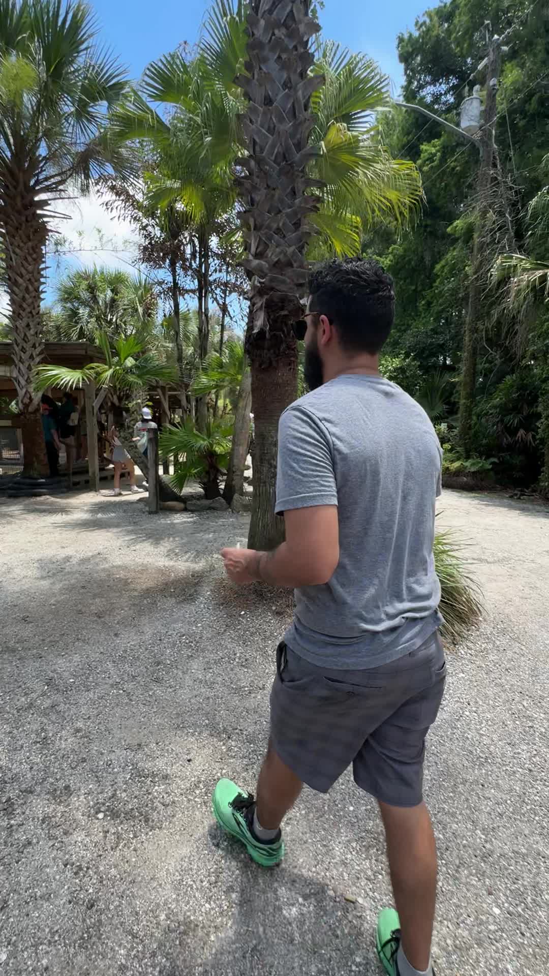 Gator Pit