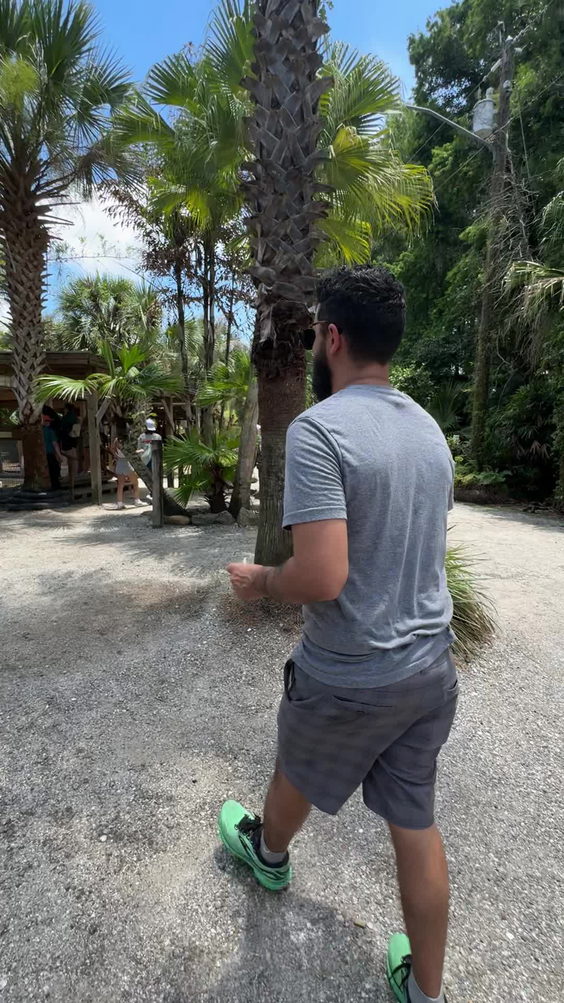 Gator Pit