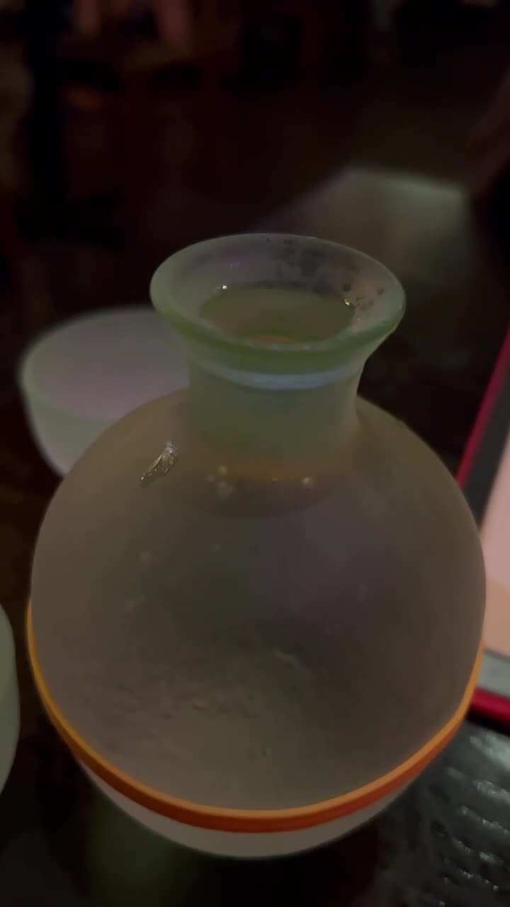 Video review of Sushi Mo