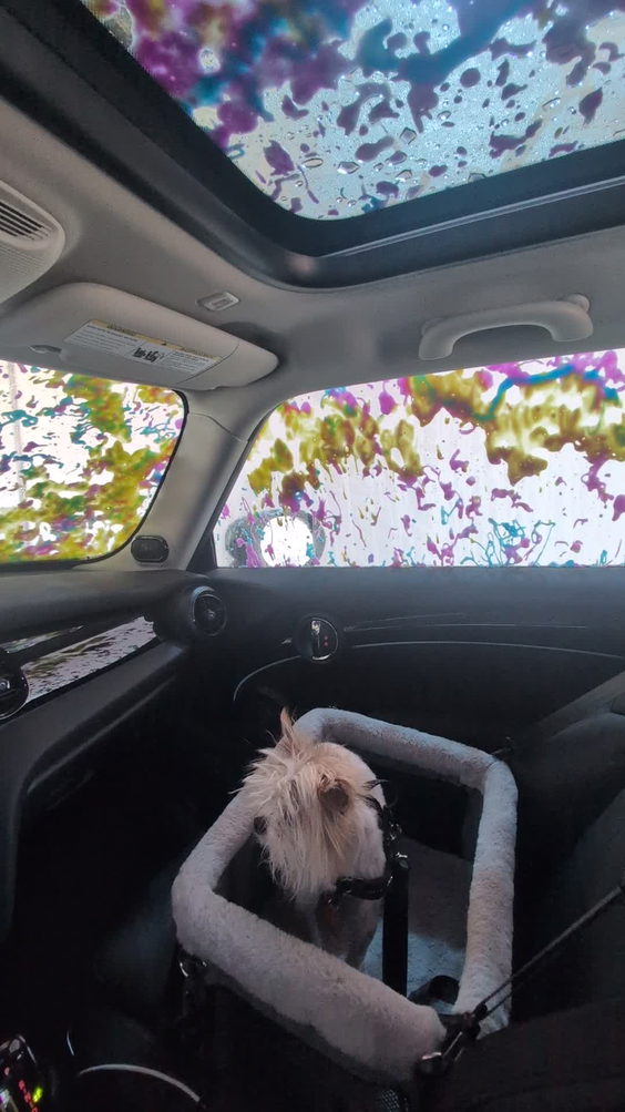 Touchless Car Wash