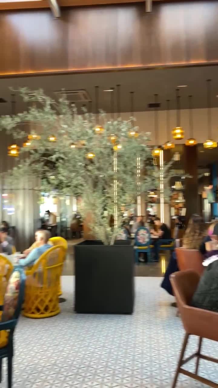 Video review of Talavera Azul