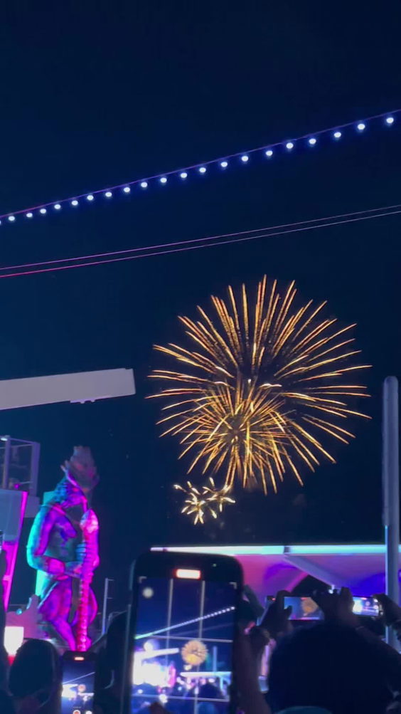 Edsea rave party
