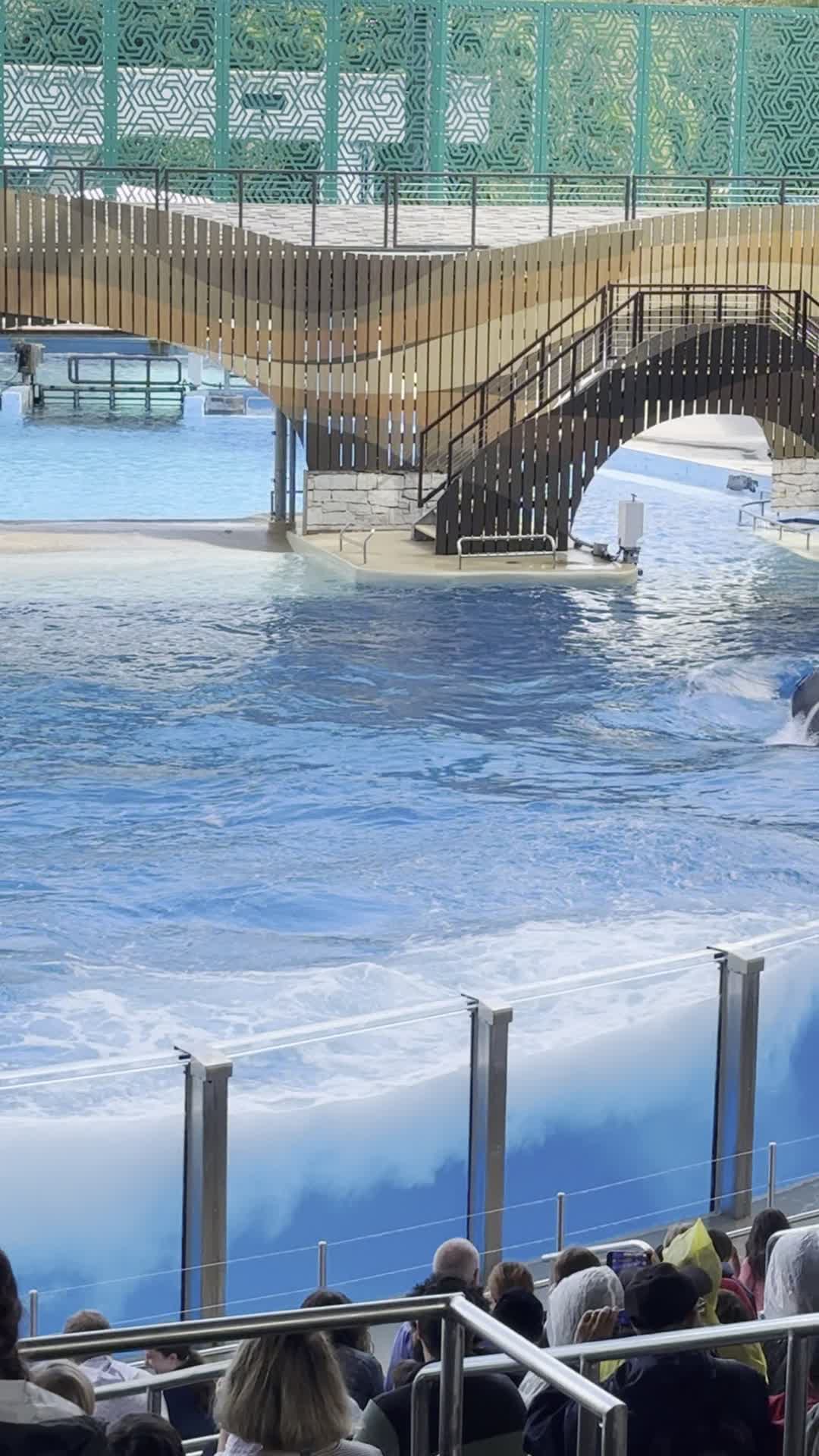SeaWorld Orlando