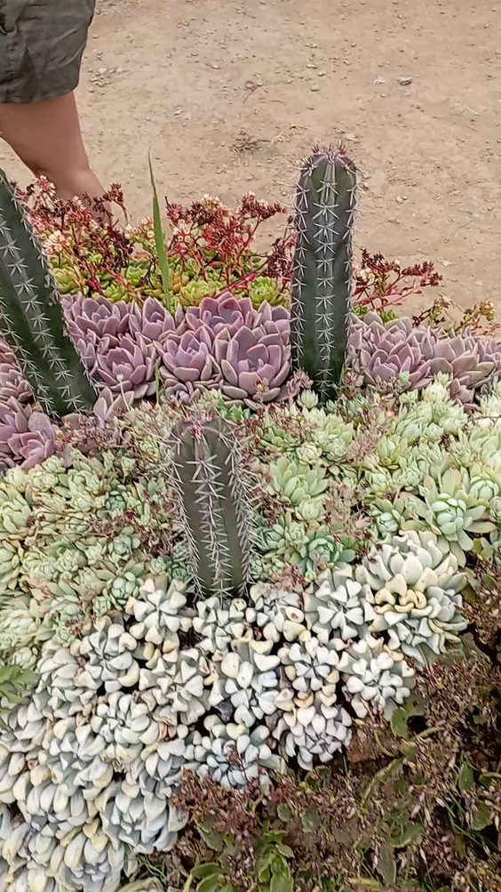 Northern Blossom Flower Farm