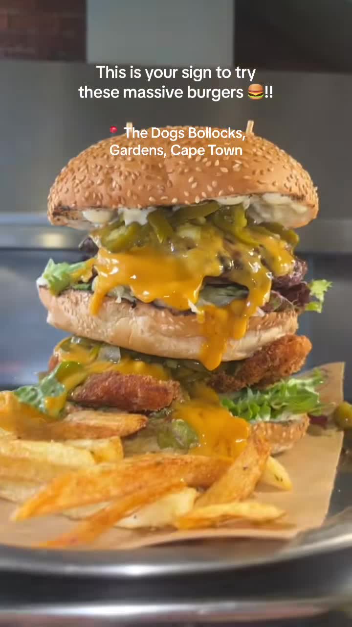 The Dog's Bollocks at YARD