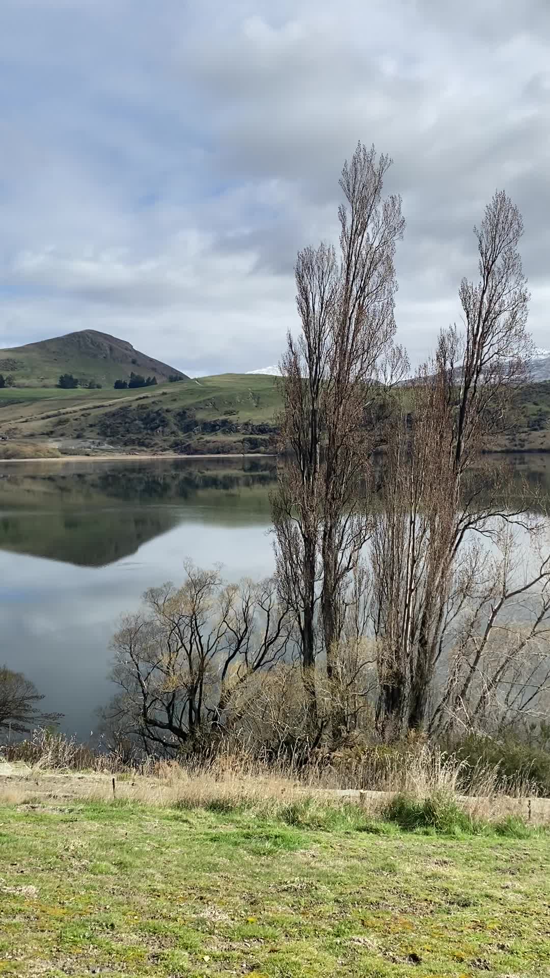 Lake Hayes Showground