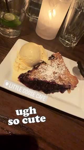 Video review of Little Goose