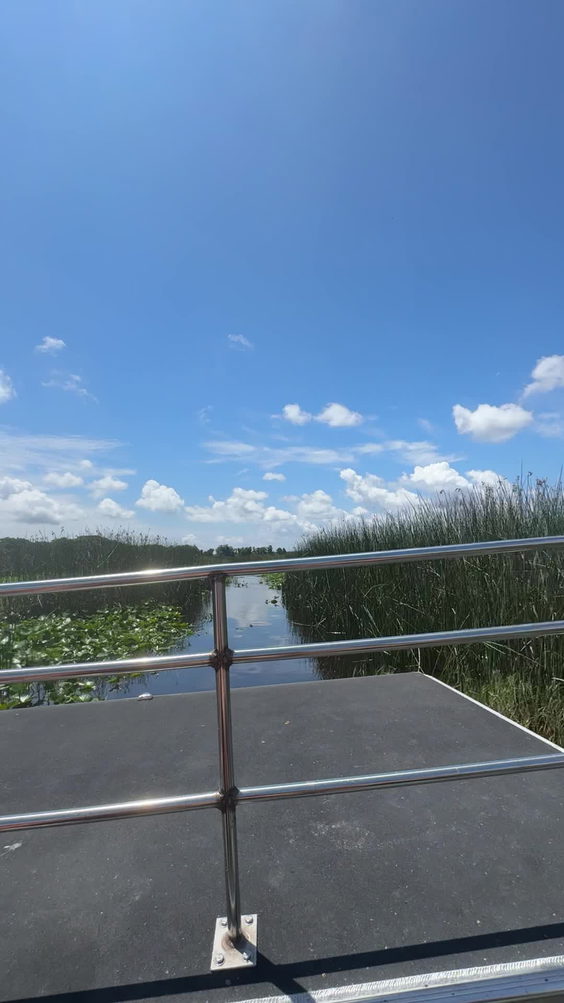 Wild Florida Airboats & Gator Park