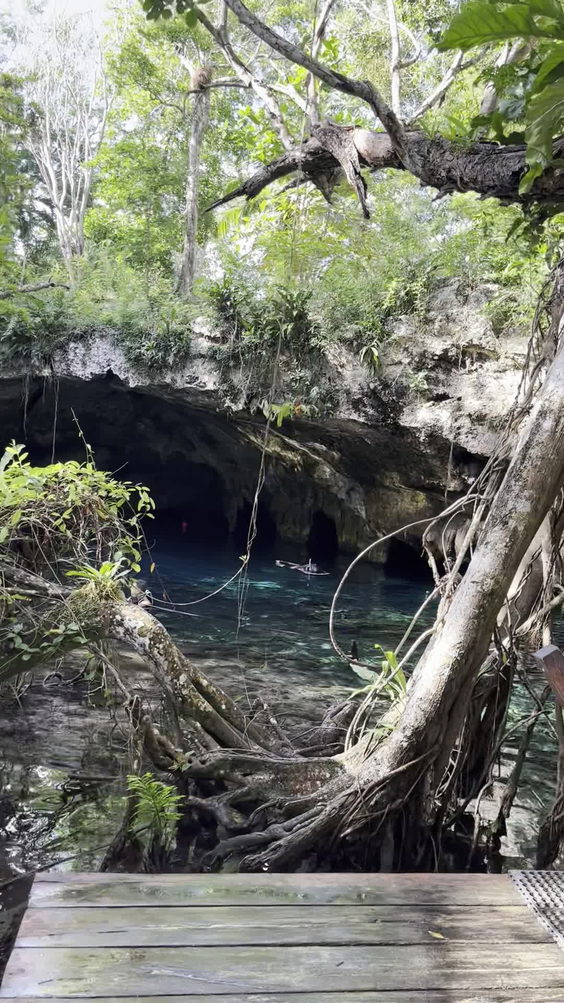 Gran Cenote