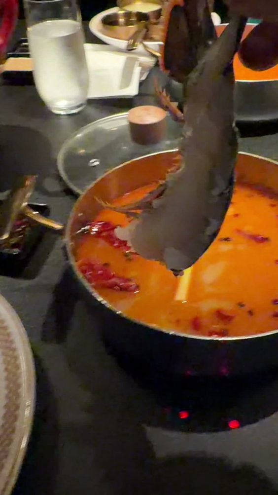 The X Pot