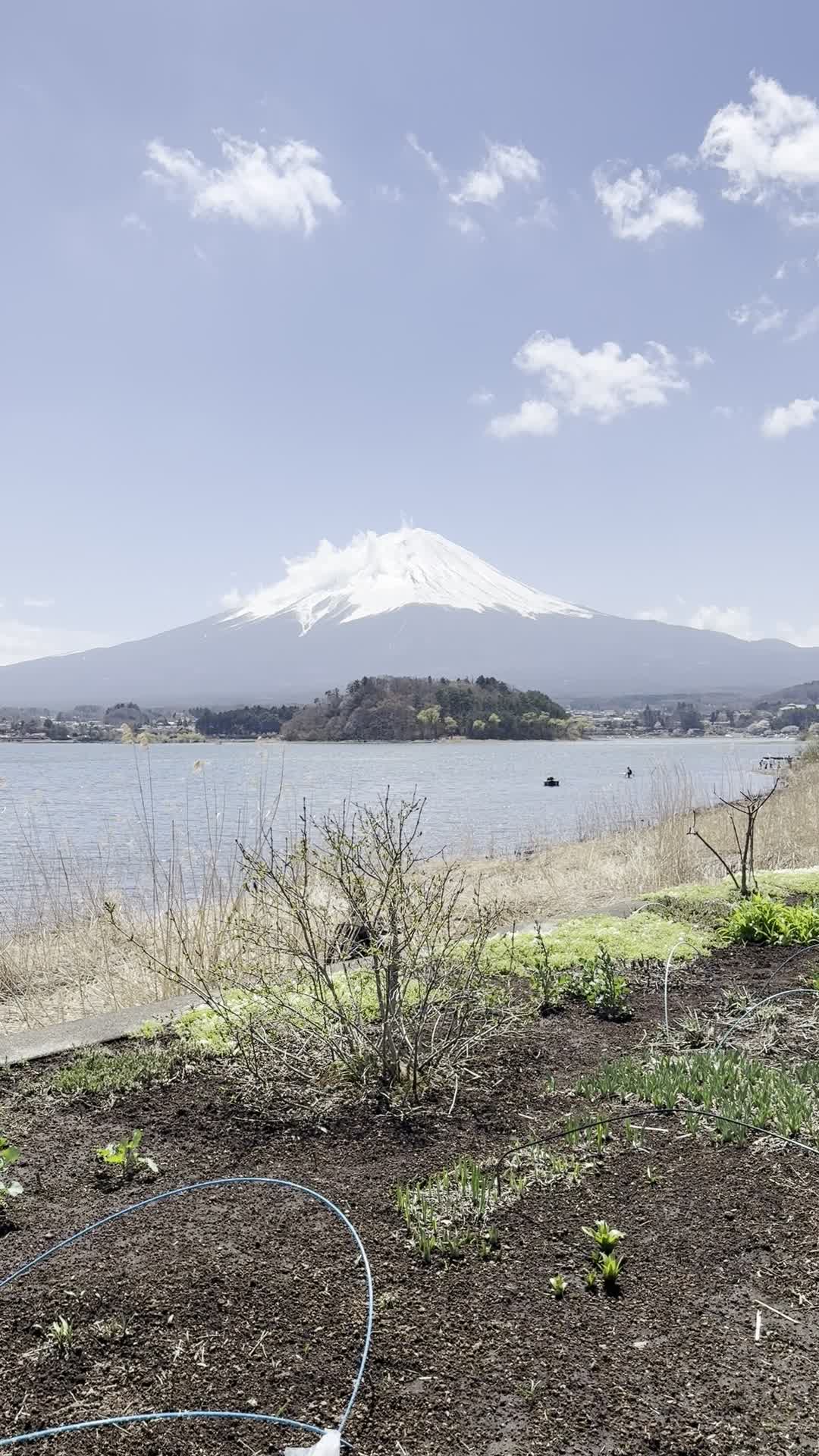 Oishi Park