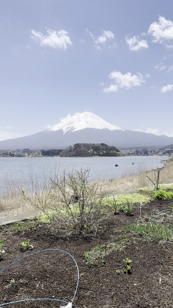 Oishi Park