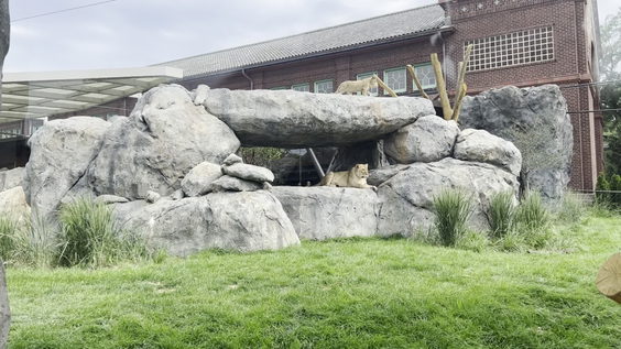 Lincoln Park Zoo