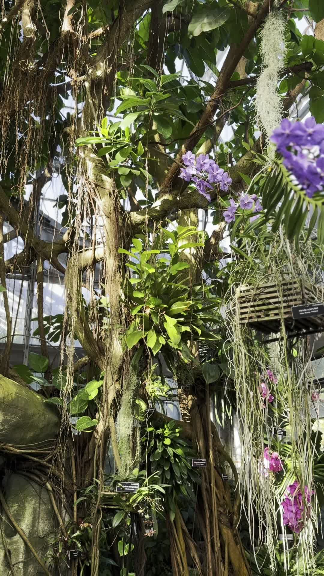 United States Botanic Garden