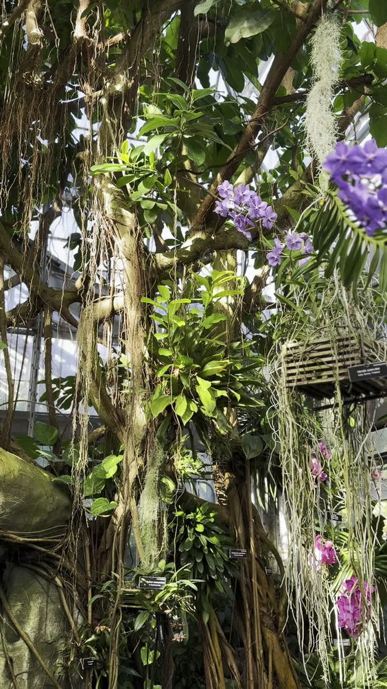 United States Botanic Garden