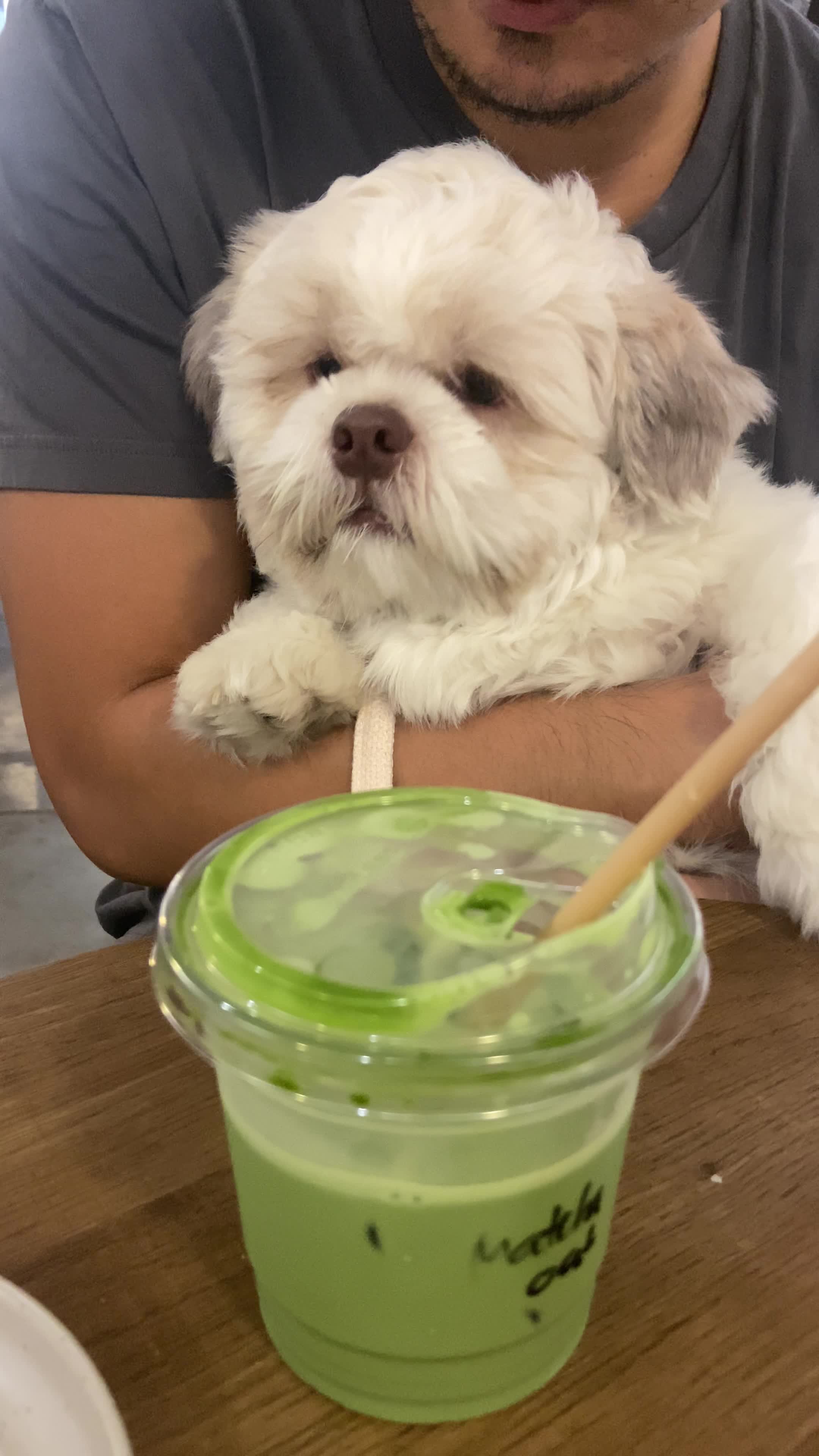 Video review of Estancia