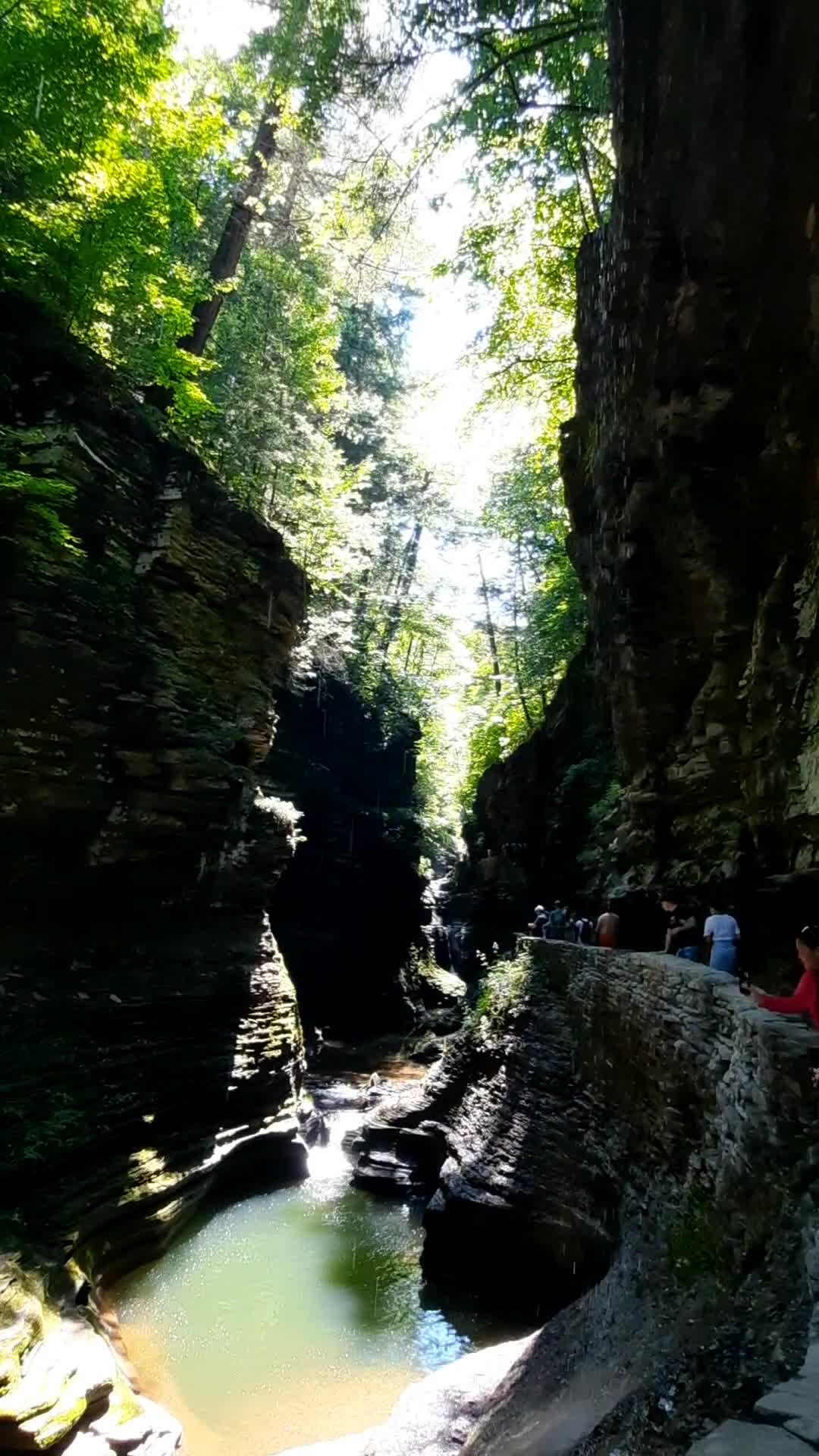 Watkins Glen State Park