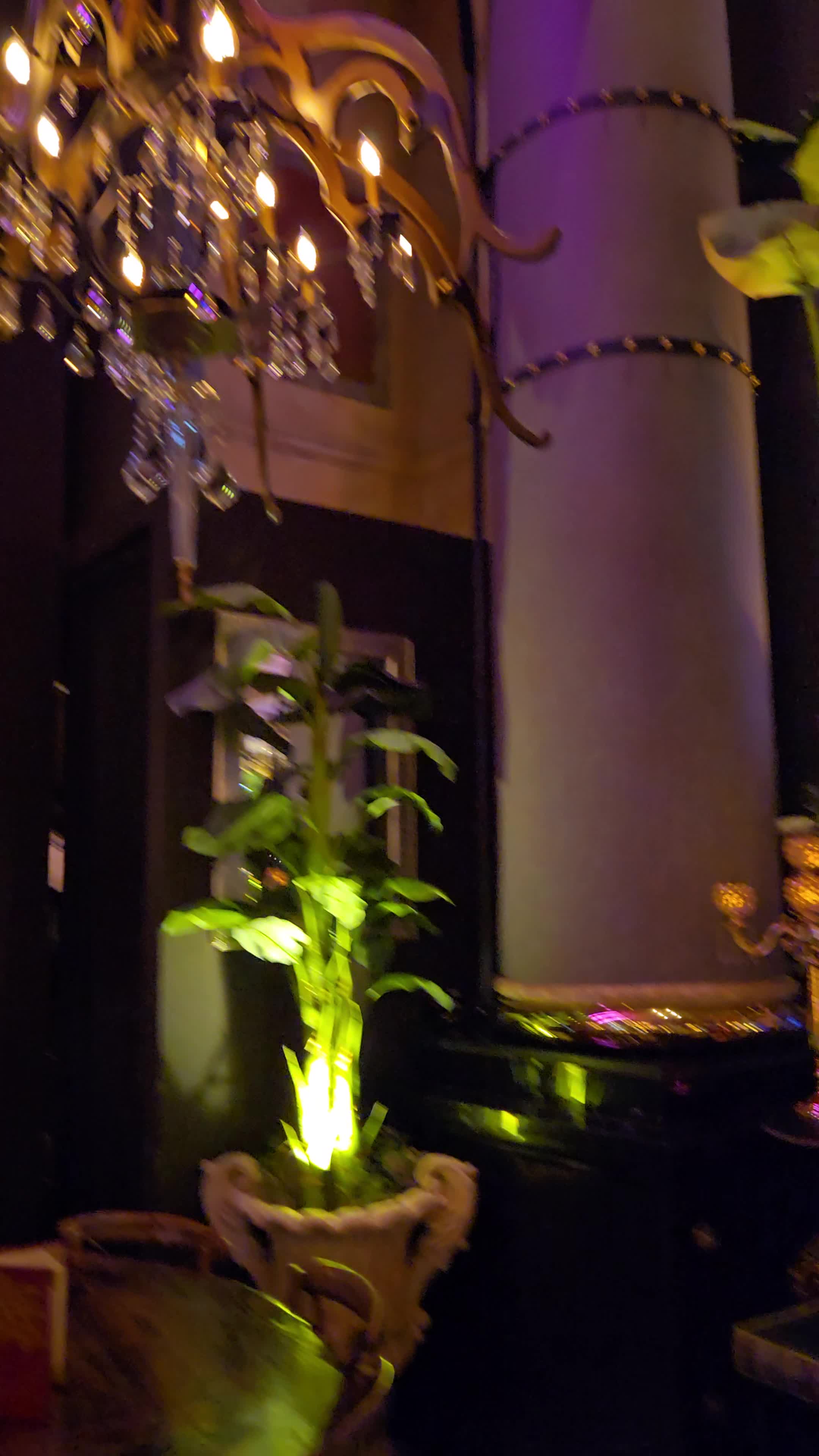 Vanderpump Vegas Cocktail Garden