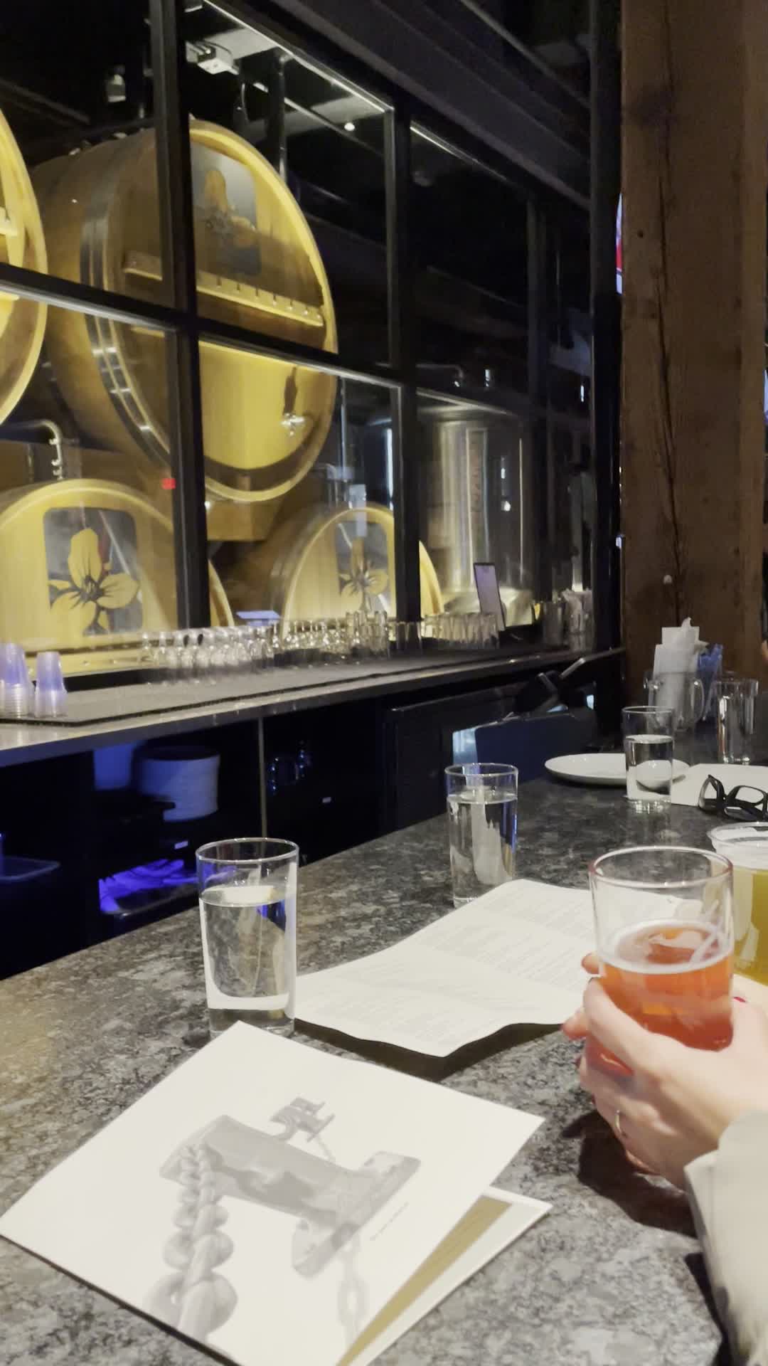 Video review of Trillium Brewing Company