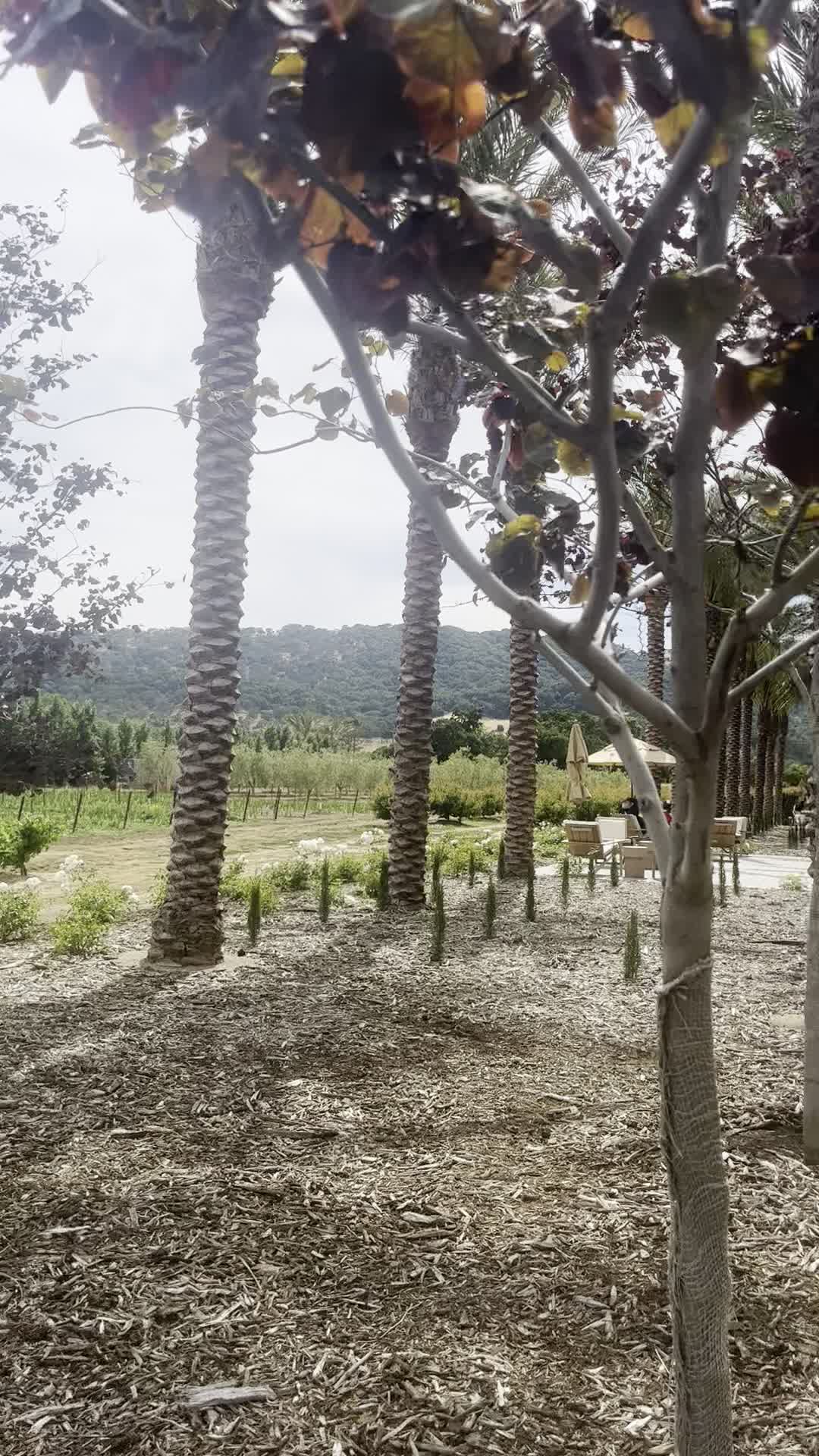 Caymus-Suisun Winery