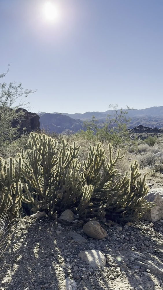 Murray Canyon Trail