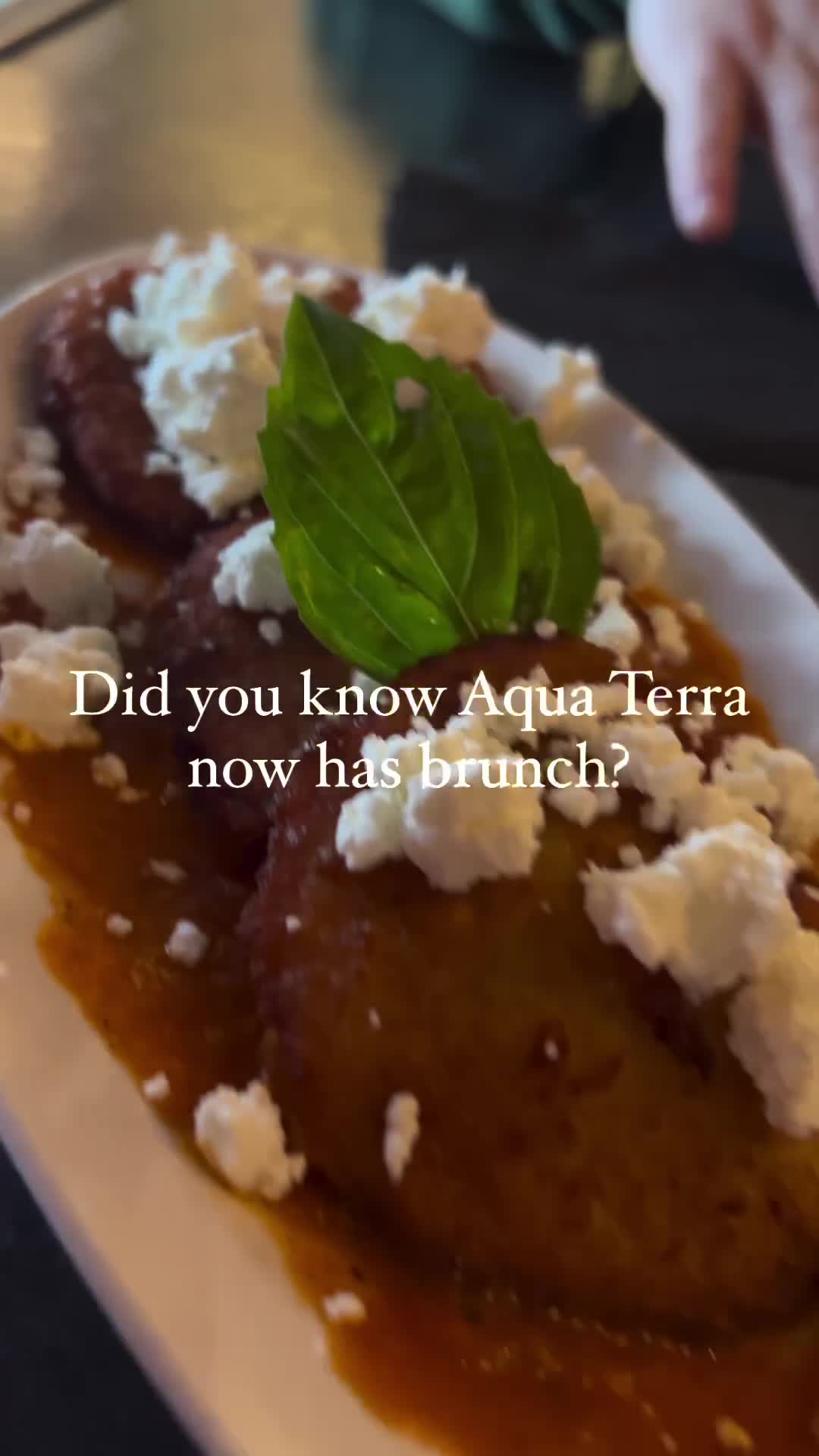 Video review of Aqua Terra Bistro