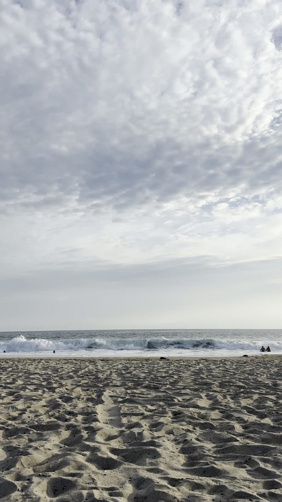 Venice Beach