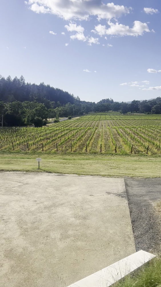 Verite Winery