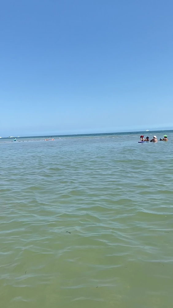 Key Biscayne By Kitty De Melo