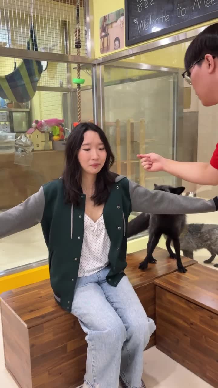 Video review of Meerkat Friends (미어캣 프랜즈)