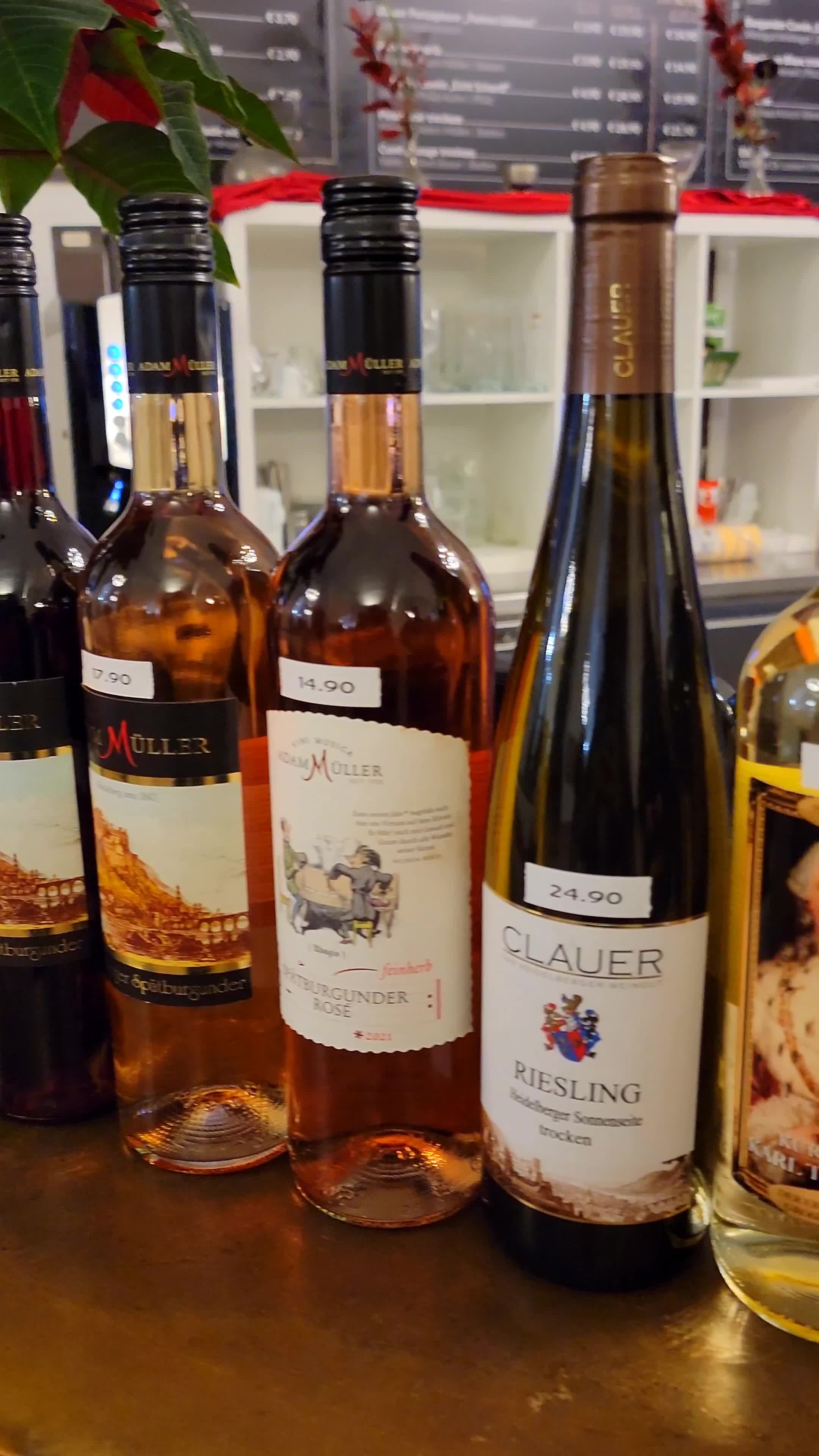 Heidelberg Castle (Heidelberger Schloss)