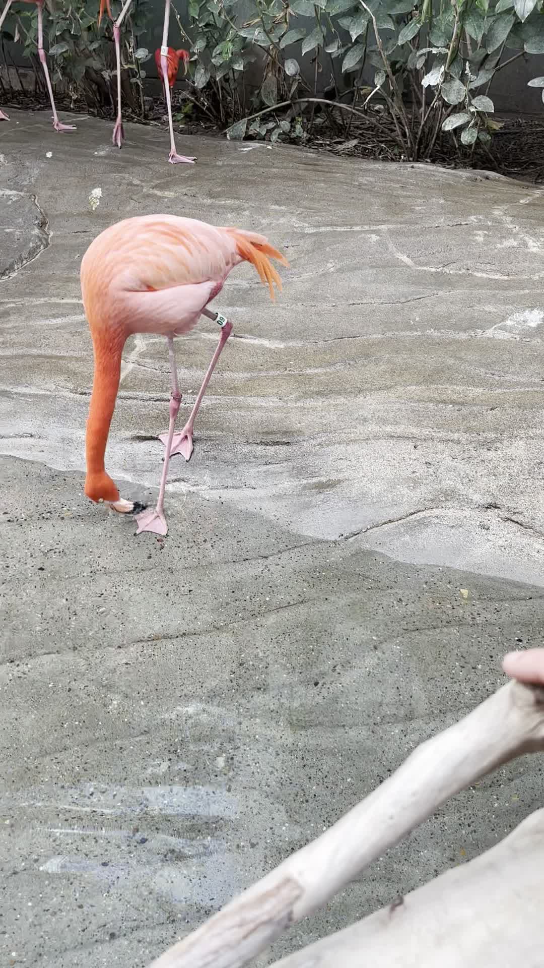 Texas State Aquarium