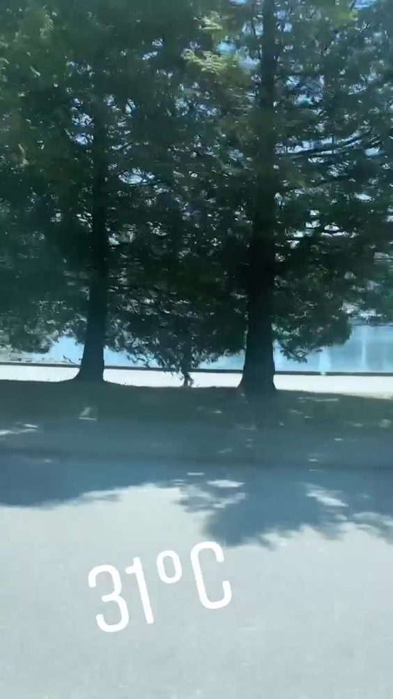 Stanley Park