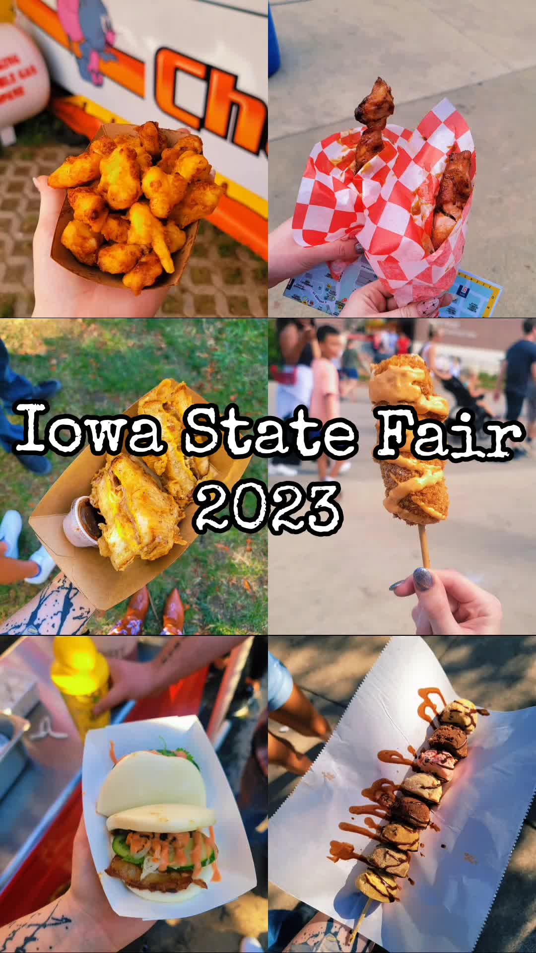 2013 Iowa State Fair