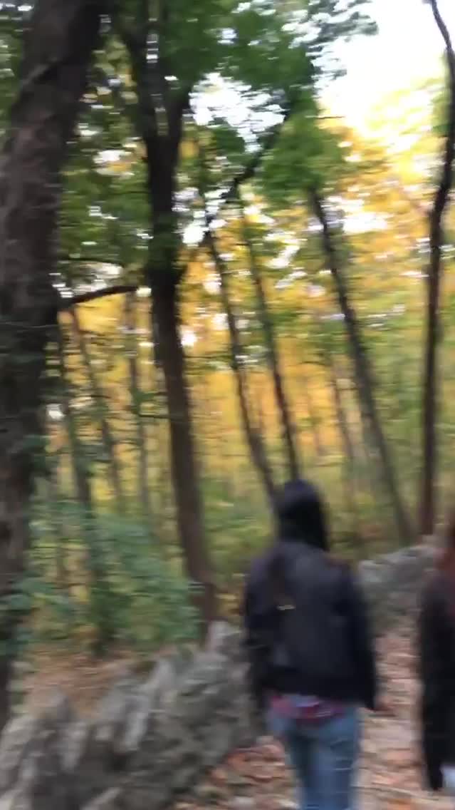 Video review of Sands Point Preserve