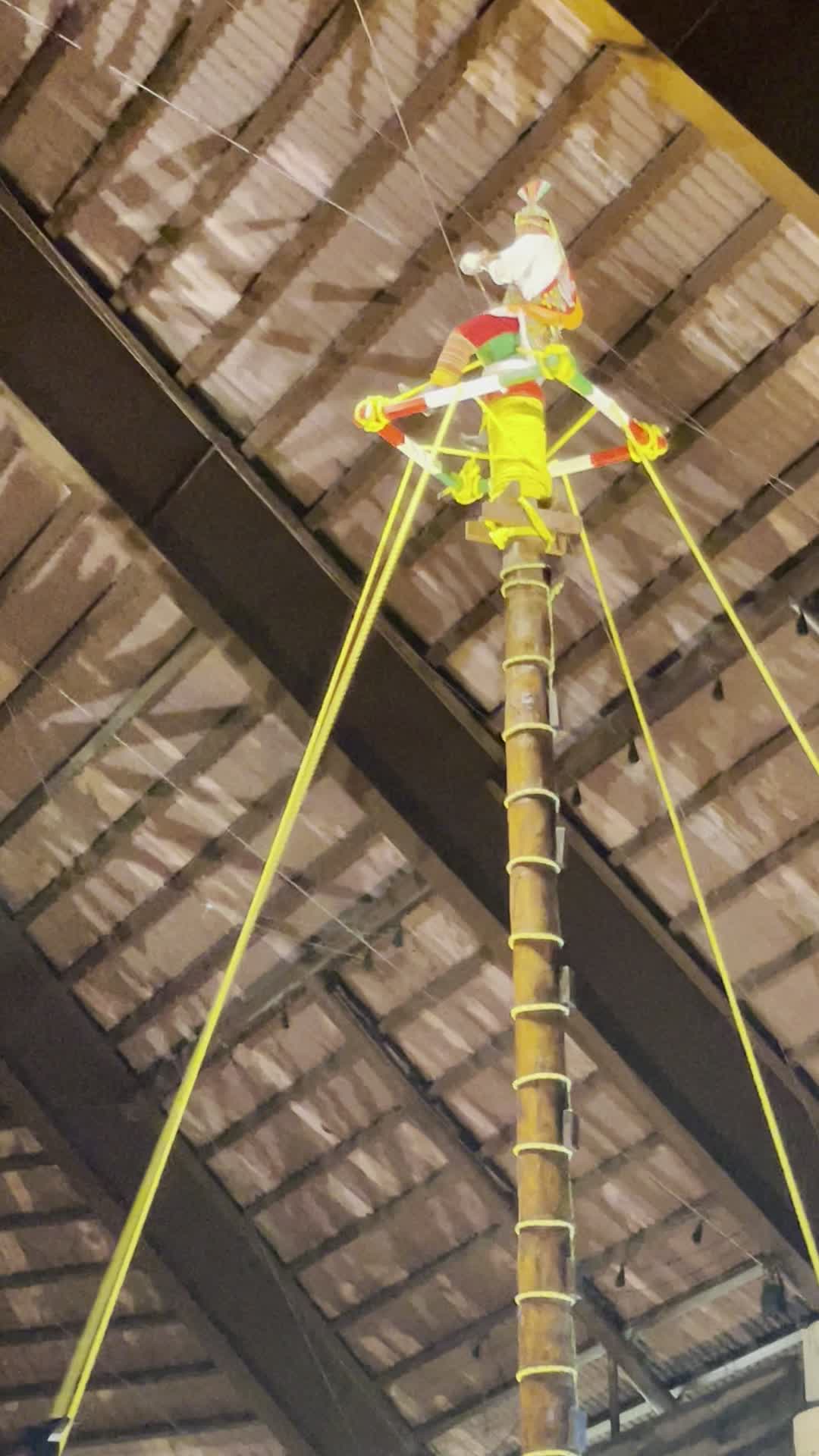 Tour Cancun | Xcaret Park