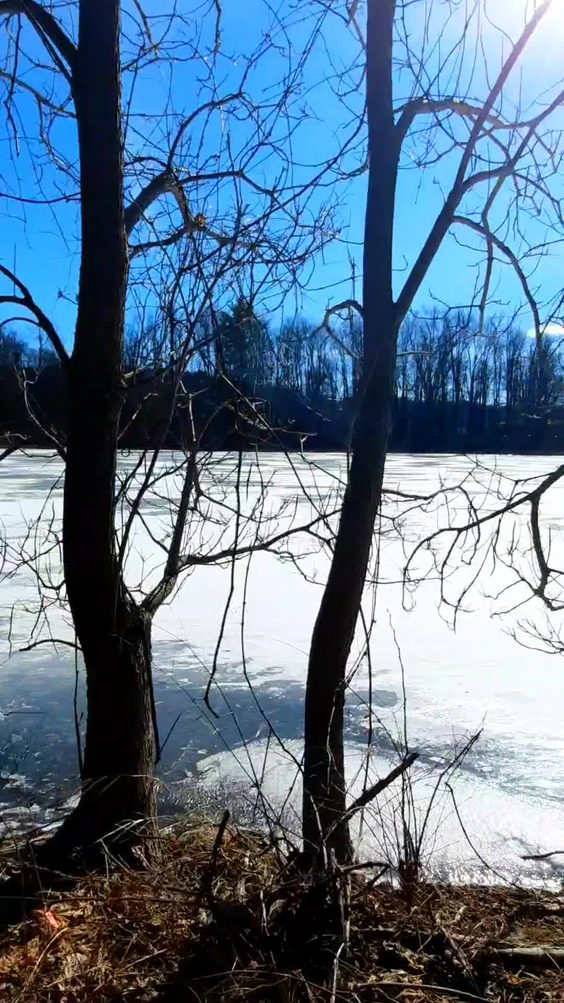 Brick Pond