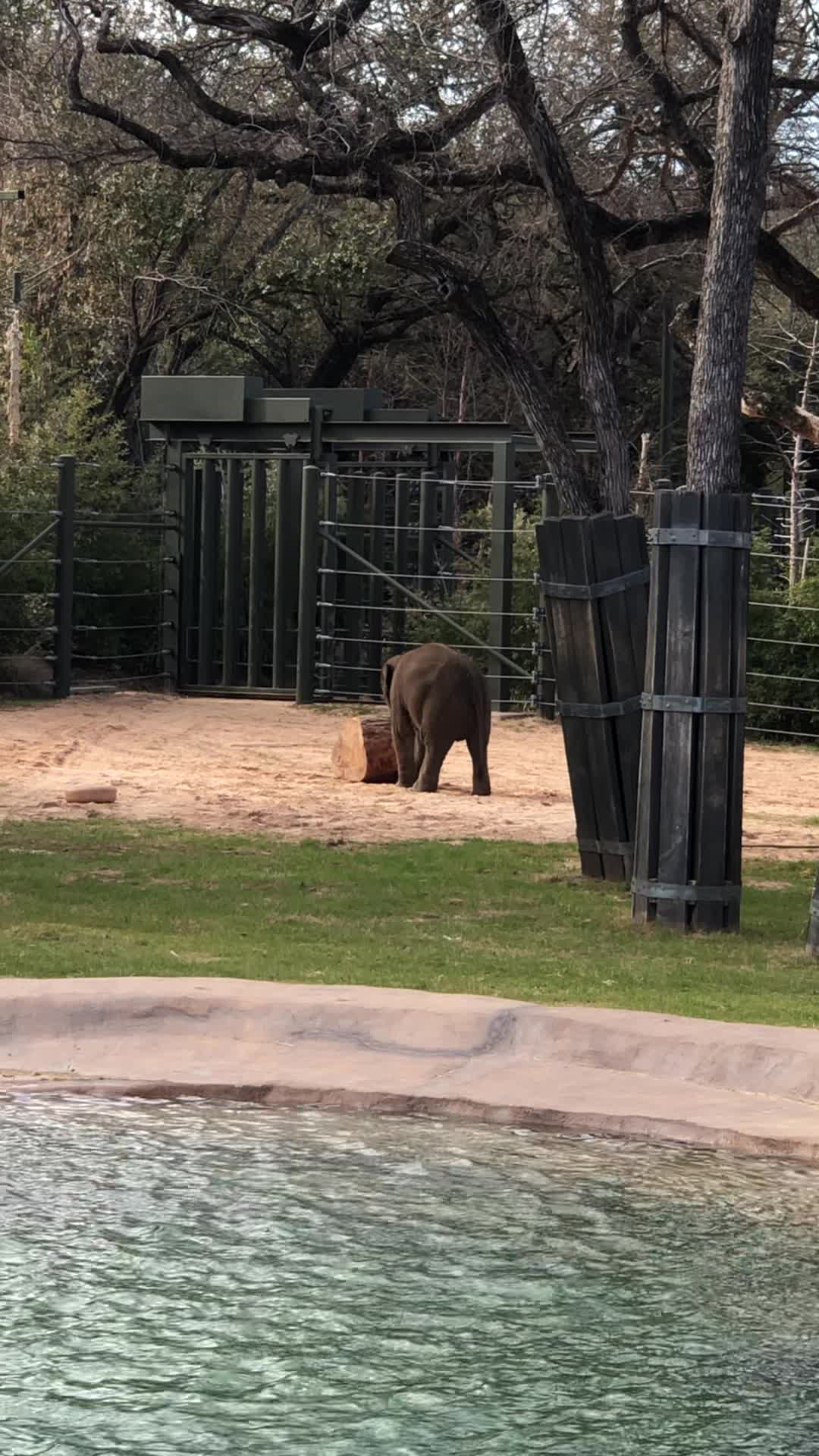Video review of Fort Worth Zoo